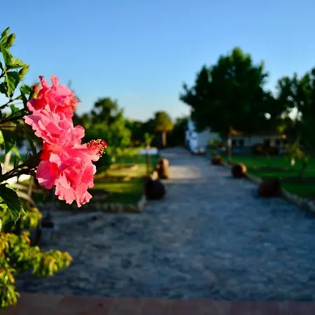 Cortijo Mesa De La Plata Casa rural